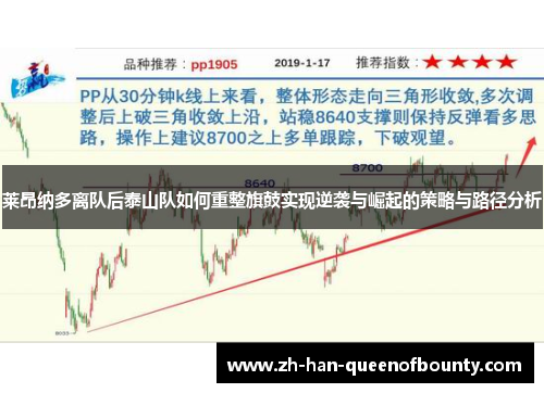 莱昂纳多离队后泰山队如何重整旗鼓实现逆袭与崛起的策略与路径分析