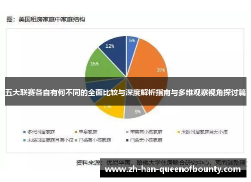 五大联赛各自有何不同的全面比较与深度解析指南与多维观察视角探讨篇