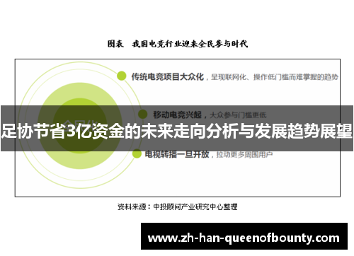 足协节省3亿资金的未来走向分析与发展趋势展望