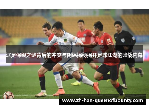 辽足保级之谜背后的冲突与阴谋揭秘揭开足球江湖的暗战内幕