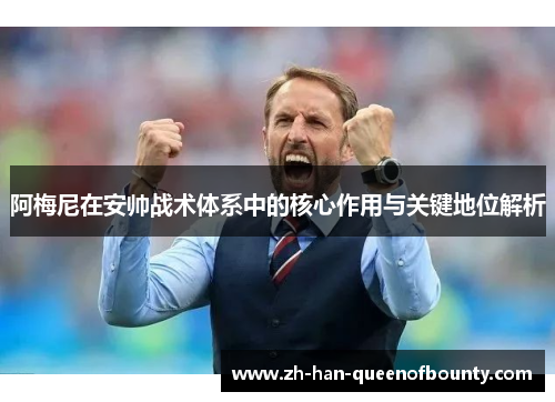 阿梅尼在安帅战术体系中的核心作用与关键地位解析 阿梅尼在安帅战术体系中的核心作用与关键地位解析