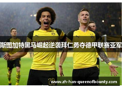 斯图加特黑马崛起逆袭拜仁勇夺德甲联赛亚军