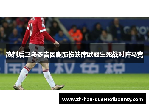 热刺后卫乌多吉因腿筋伤缺席欧冠生死战对阵马竞