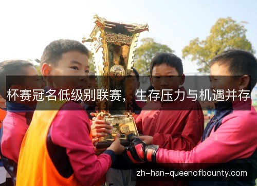杯赛冠名低级别联赛,生存压力与机遇并存 杯赛冠名低级别联赛,生存压力与机遇并存